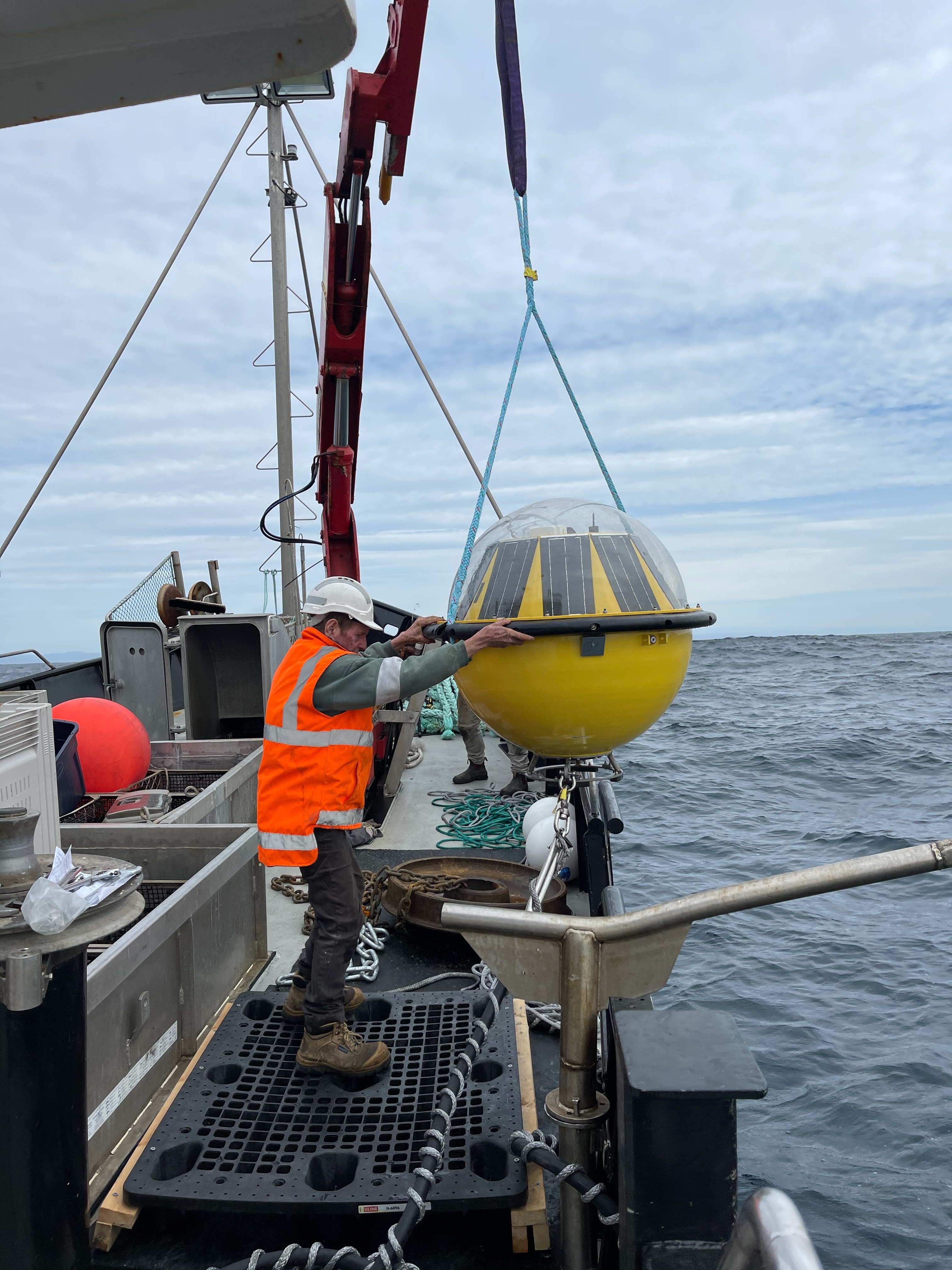 IMOS wave data important for marine industries and the Bureau of Meteorology