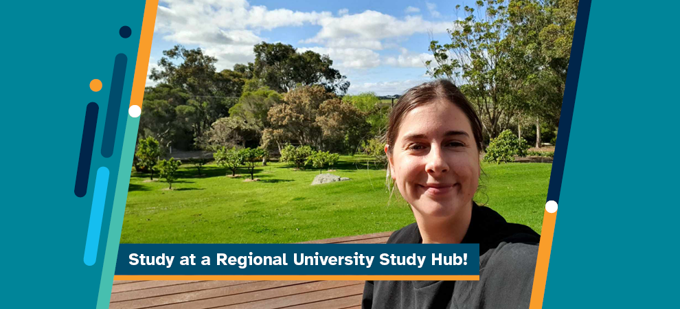 Regional University Study Hubs Newsroom Banner (Decorative)