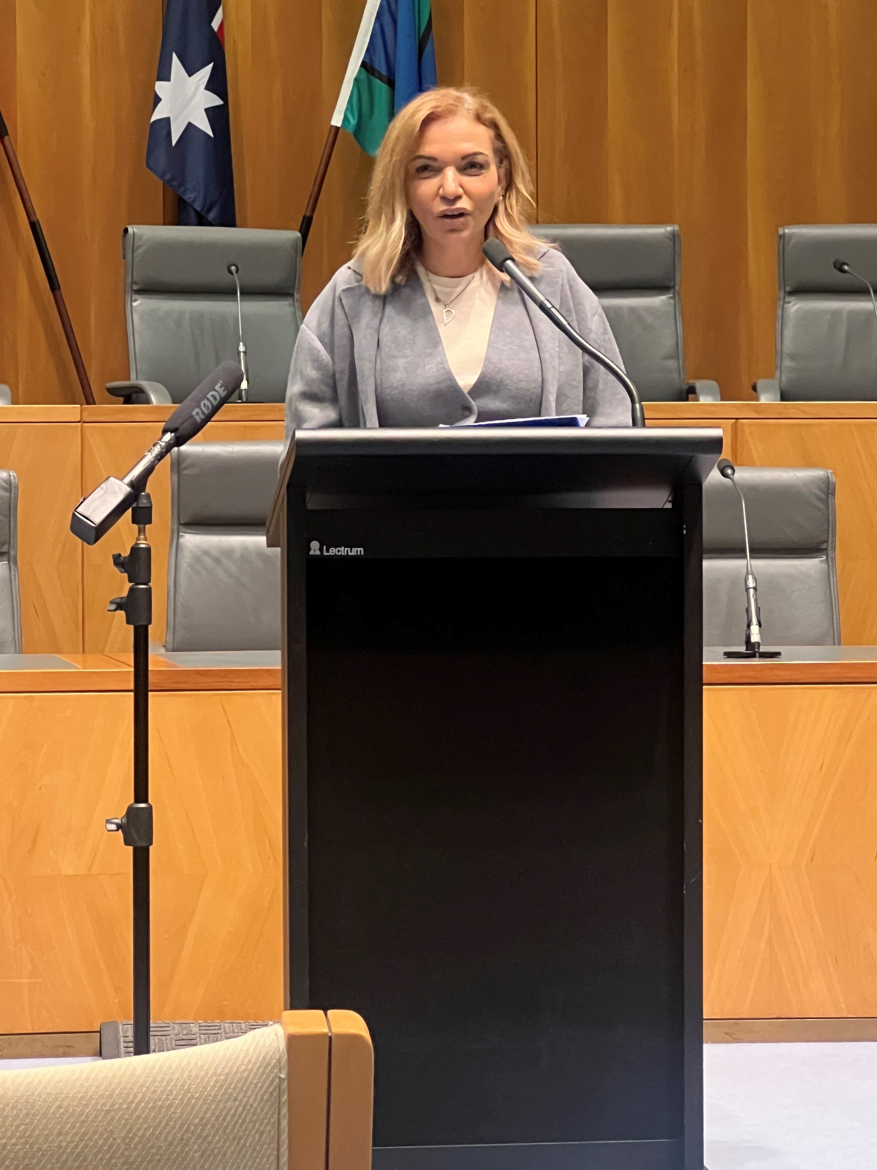 Image of Minister Aly. A woman with shoulder length blonde hair wearing a white top and grey jacket standing behind a podium giving a speech.