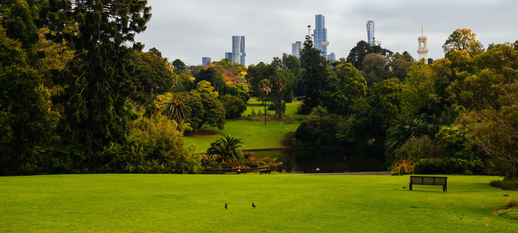 A large park in the city with a park bench.