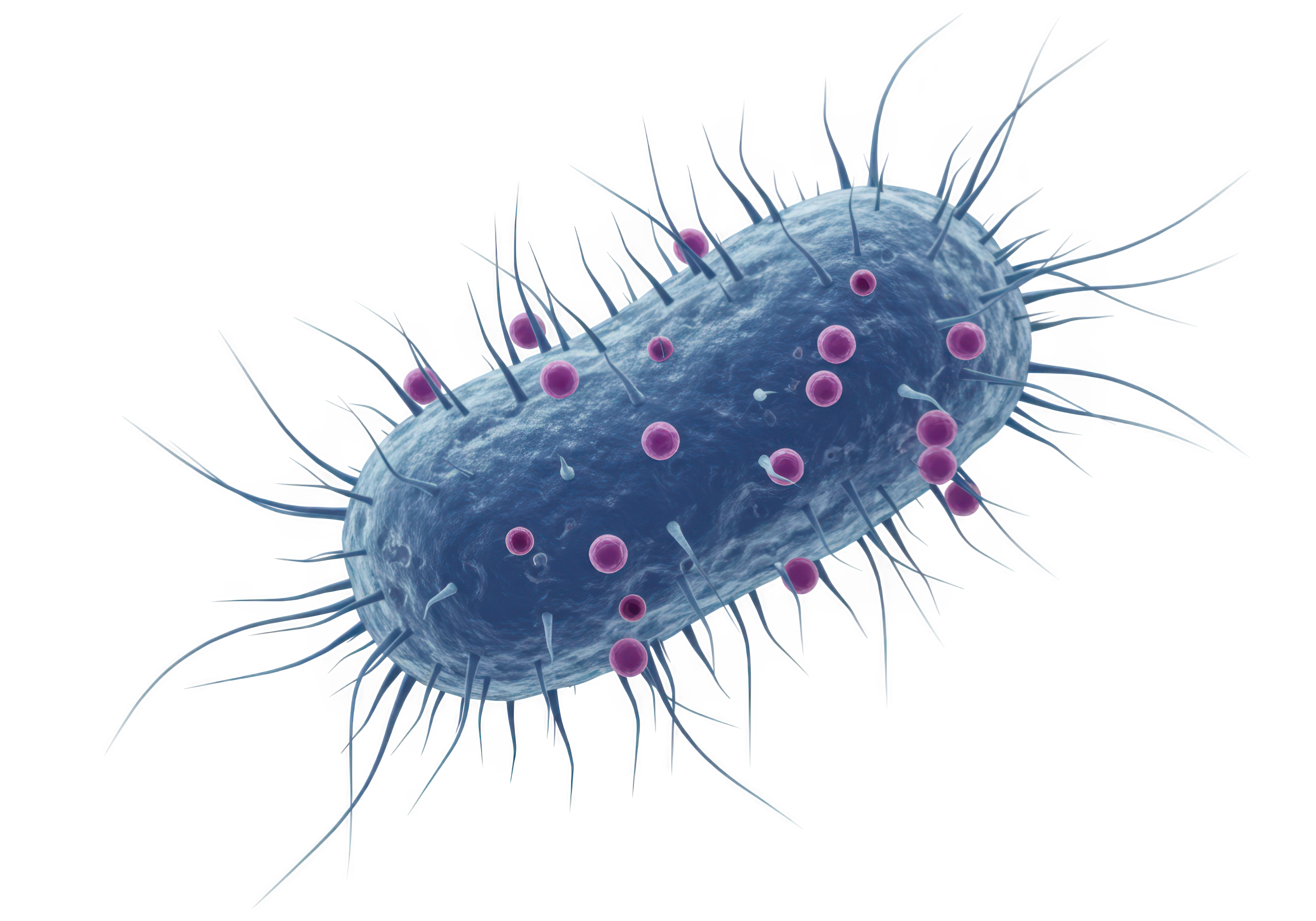 Nanoparticles binding to the surface of a bacterial cell