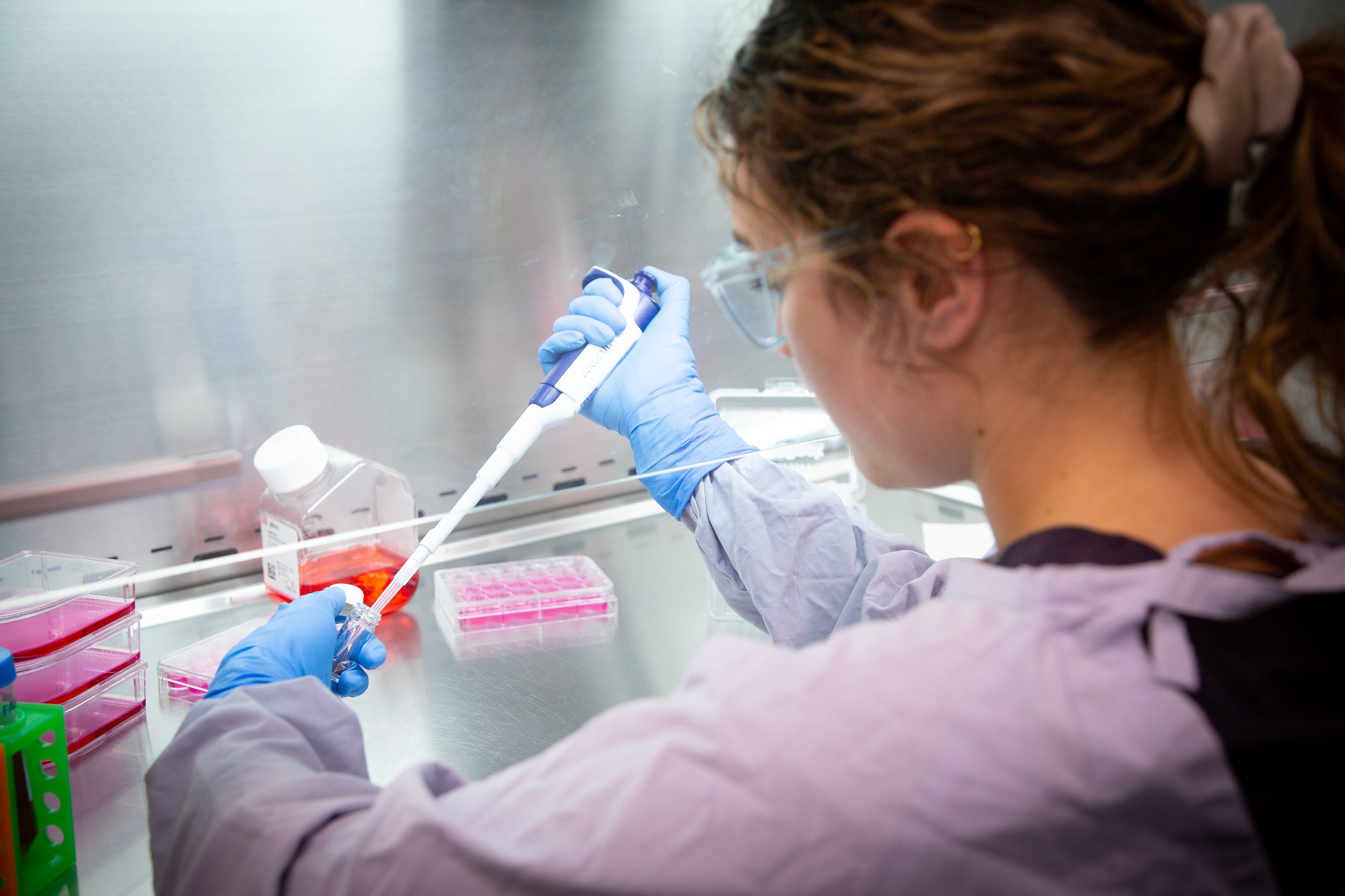 Working with samples in ACDP's secure lab requires precision and a steady hand