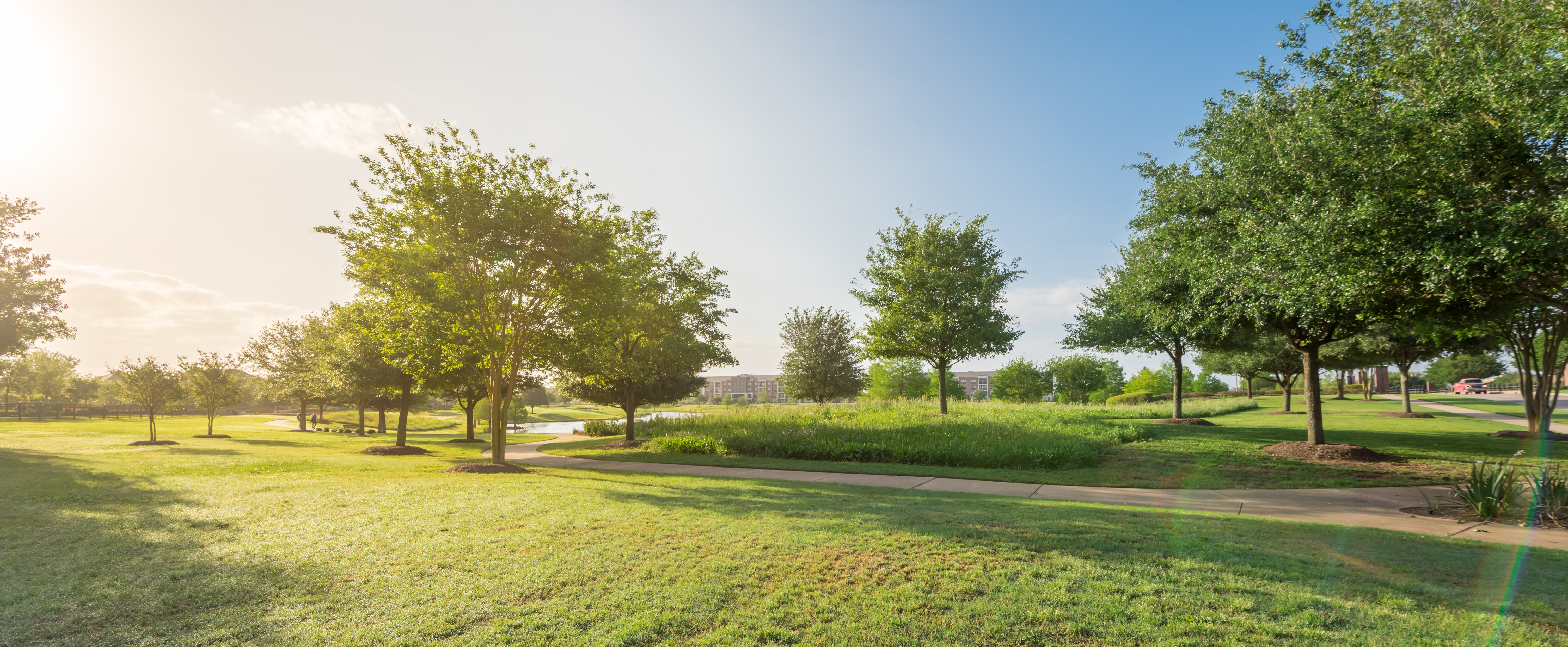 Sun rising on a leafy park.