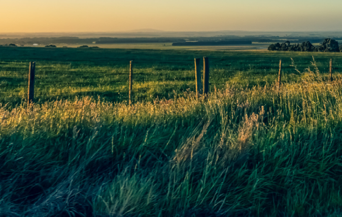 Creating aspiration for a rural health career front page
