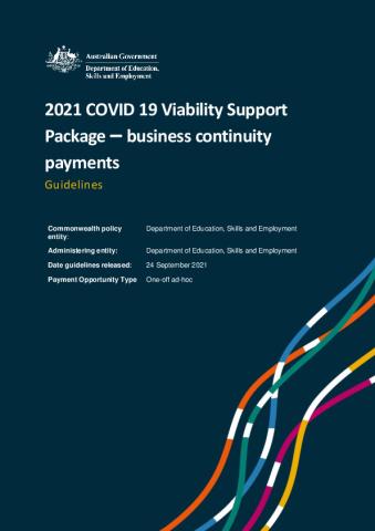Viability Support Package Guidelines.pdf