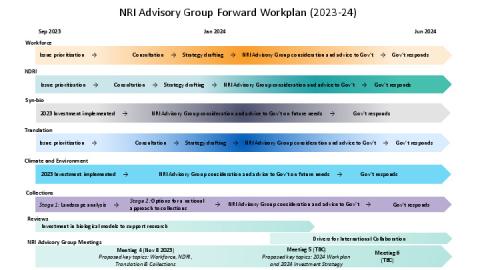 NRI Advisory Group Forward Workplan.pdf