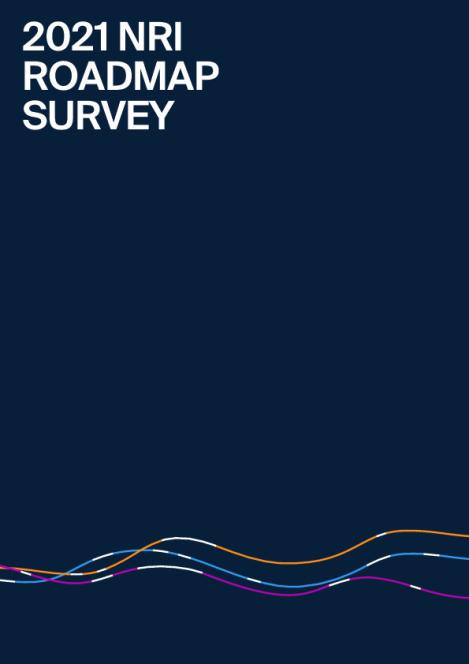 DESE-NRIR-Final-Survey-Report.pdf