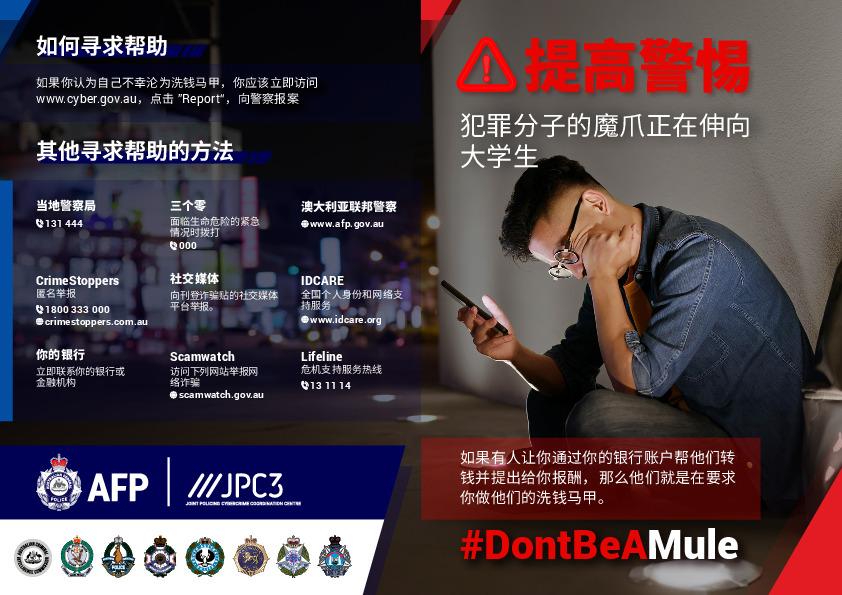 20240510 money-mule_DL_chinese-simplified_Web.pdf