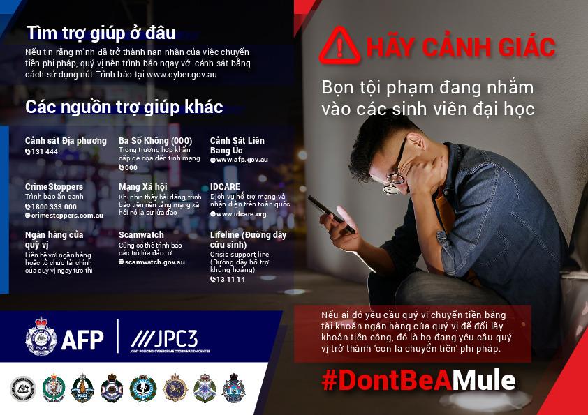 20240510 money-mule_DL_vietnamese_Web.pdf