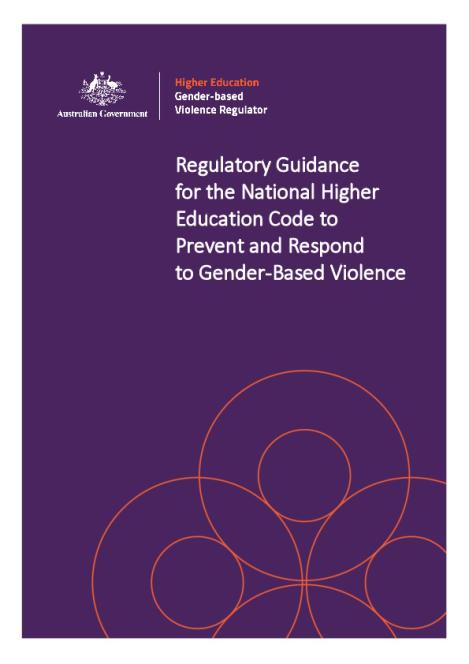 Regulatory guidance for GBV National Code_Final_Dec2025.pdf